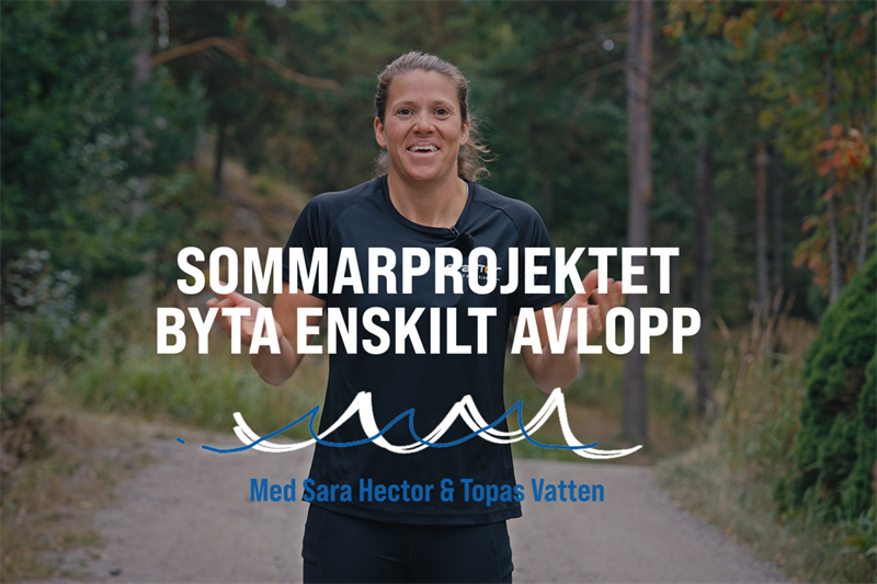 SaraHector_sommarprojektet_banner_1