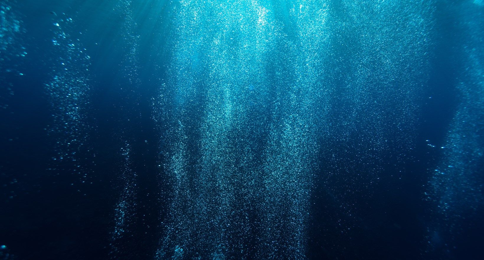 sarah-lee-QURU8IY-RaI-unsplash