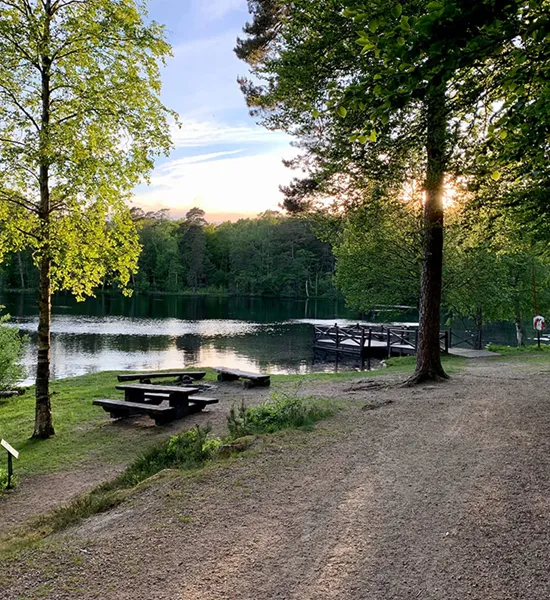 Svensk skogssjö