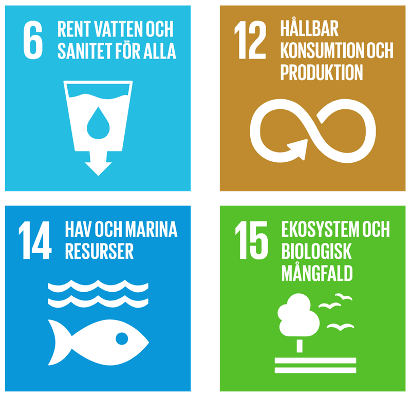 SDG