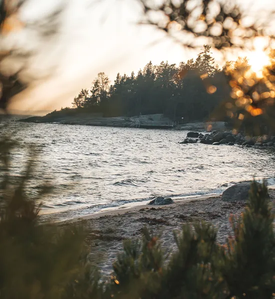 Svensk strand_web