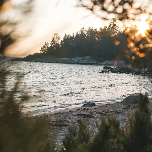 Svensk strand_web